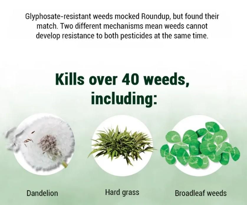 Dual-Action Weed Killer - Max Power Herbicide (pack of2)